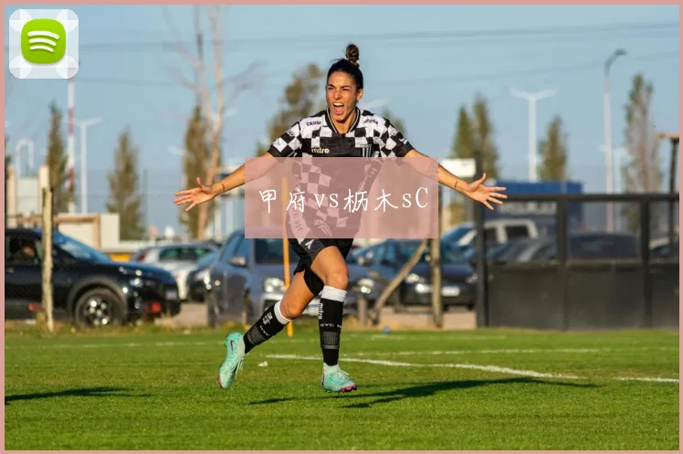 甲府vs枥木sC